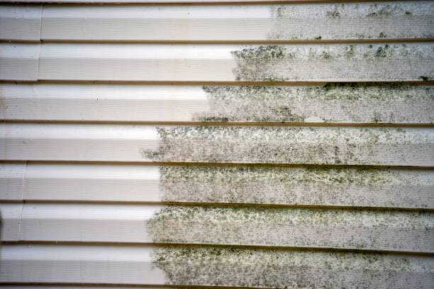 Best Custom Trim and Detailing for Siding  in Wade, MS